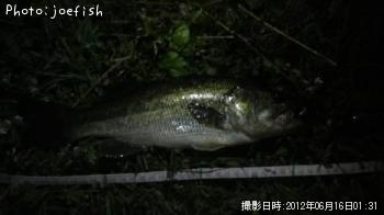 ¥Ö¥é¥Ã¥¯¥Ð¥¹