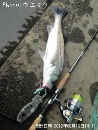 �����Х�