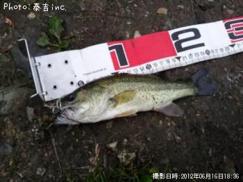 �֥�å��Х�