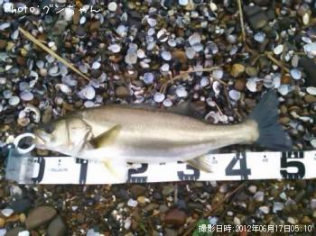 �����Х�