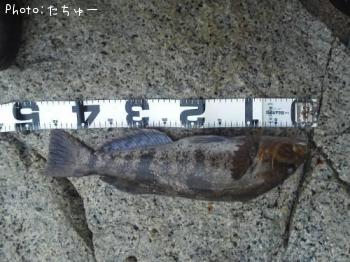 �����ʥ�