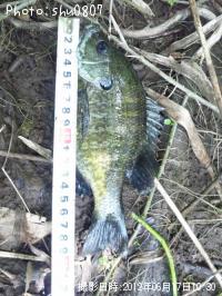 ¥Ö¥ë¡¼¥®¥ë