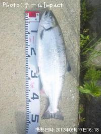 ������ޥ�