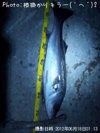 �����Х�