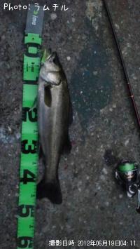 �����Х�