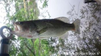 �֥�å��Х�