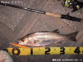 �����Х�