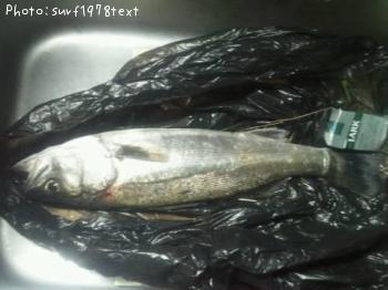 �����Х�