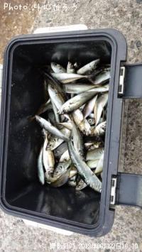 ���亮������