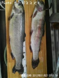 �����ۥ������