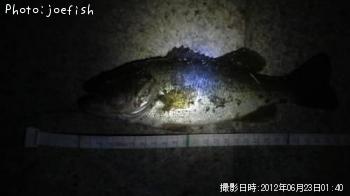 ¥Ö¥é¥Ã¥¯¥Ð¥¹