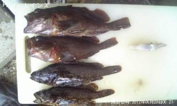 �������������Υ�������