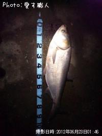 ¥Ï¥¯¥ì¥ó¡©