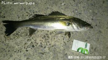 �����Х�