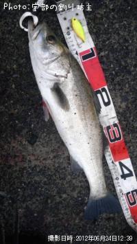 �����Х�