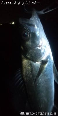 �����Х�