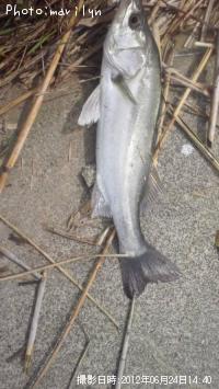 �����Х�