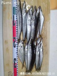 ¥«¥Þ¥¹¡õ¥¢¥¸