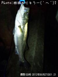 �����Х�