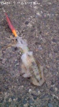 �����ꥤ��