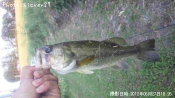 �֥�å��Х�