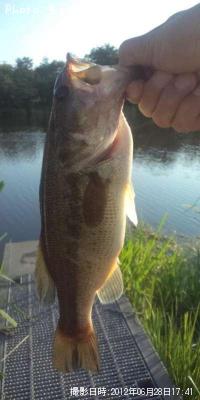 ¥Ö¥é¥Ã¥¯¥Ð¥¹