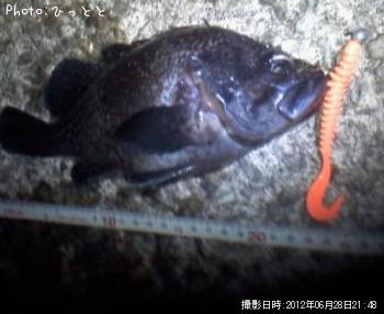 ¥¯¥í¥½¥¤¡©