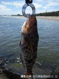 �����ʥ�