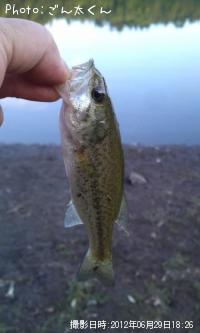 ¥Ö¥é¥Ã¥¯¥Ð¥¹