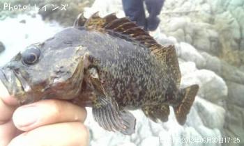 ��饽���������Υ���������