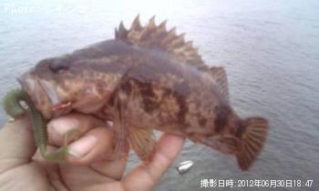 ��饽���������Υ���������