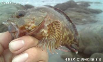 ��饽���������Υ���������