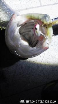 �����Х�