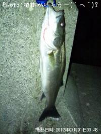 �����Х�