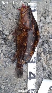 �����Υ���Х�