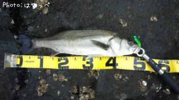 �����Х�