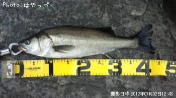 �����Х�