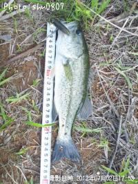 �֥�å��Х�