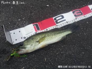 ¥Ö¥é¥Ã¥¯¥Ð¥¹