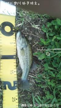 ¥Ö¥é¥Ã¥¯¥Ð¥¹