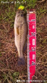 ¥Ö¥é¥Ã¥¯¥Ð¥¹