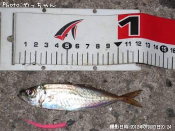 ¥Þ¥¤¥¯¥í¥¢¥¸