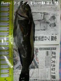 �����ʥ�