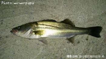 �����Х�