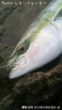 ¥¤¥Ê¥À¤È¥¤¥Ê¥Àã