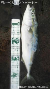 ¥¤¥Ê¥À¤È¥¤¥Ê¥Àã