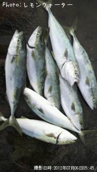 ¥¤¥Ê¥À¤È¥¤¥Ê¥Àã