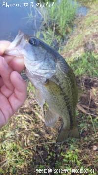 ¥Ö¥é¥Ã¥¯¥Ð¥¹