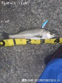 �����Х�