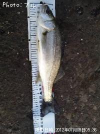 �����Х�